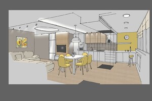 Заказать  удаленно индивидуальный Блиц-дизайн интерьеров жилого пространства в г. Александрия  . Кухня-гостиная 32 м2. Вид 2